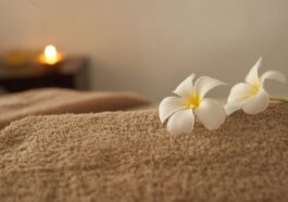 Sanitas-Shiatsu-Massagekissen-SMG-141